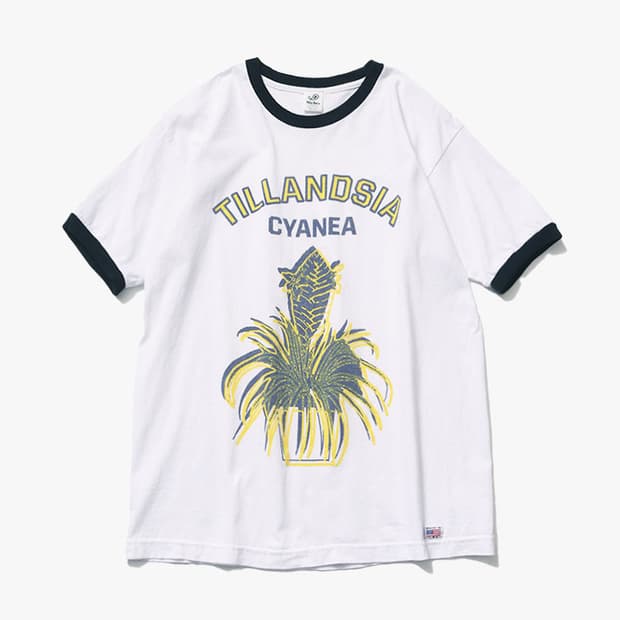 NICHE. - COLLEGE RINGER T SHIRT
