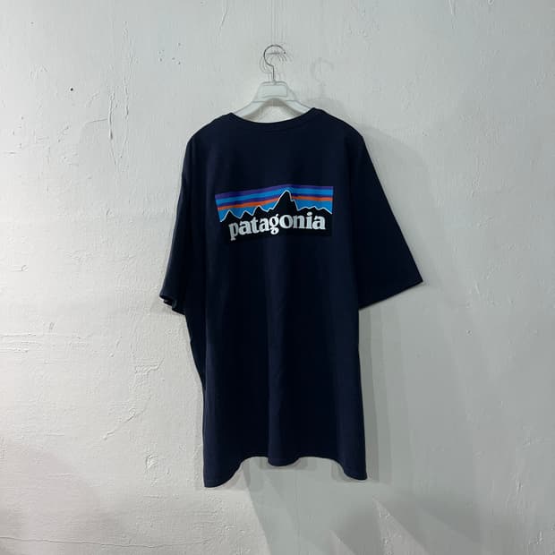 파타고니아 반팔티 110