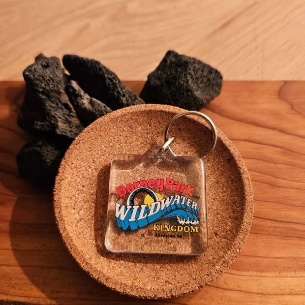 도니 파크 아크릴 키링