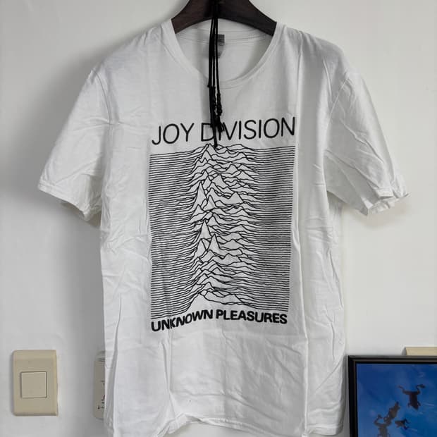 Gildan/ 조이디비전 unknown pleasure 