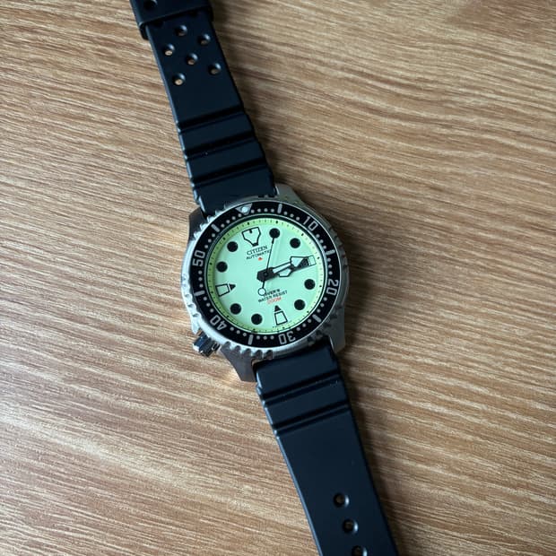 시티즌 복어 풀루메