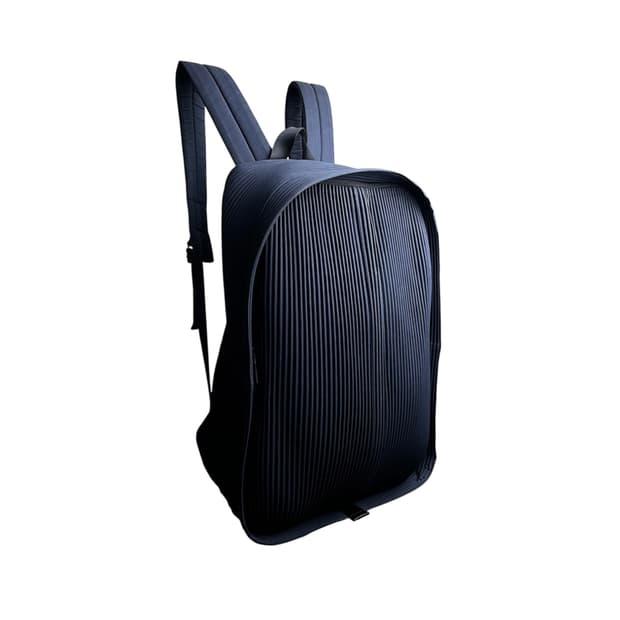 pleats daypack