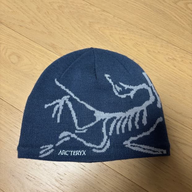 아크테릭스 비니