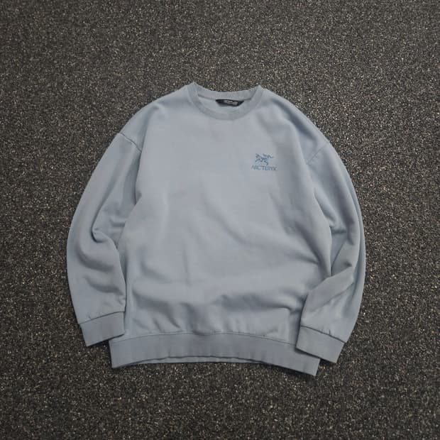 아크테릭스 버드맨 파스텔 스웻 셔츠 (XL)