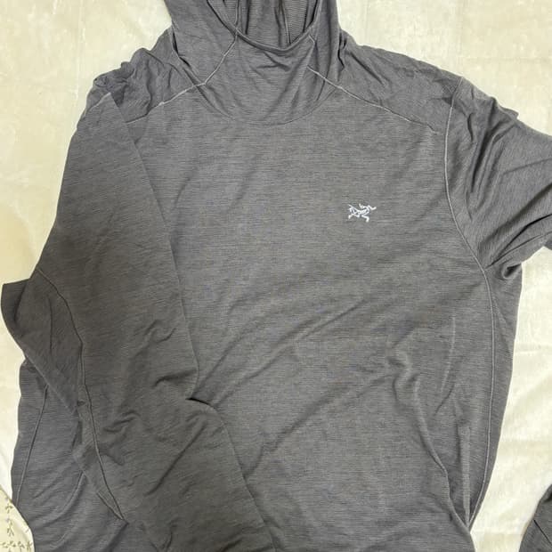 아크테릭스 후드티 m사이즈