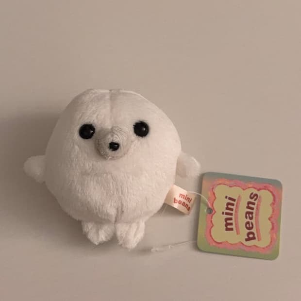 일본 미니빈즈 물범 인형 minibeans 물개