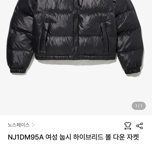 노스페이스 여성 눕시 L(95) NJ1DM95A