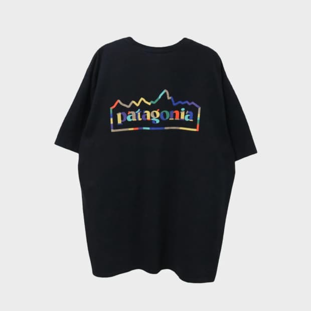 파타고니아 로고 반팔티셔츠 66422