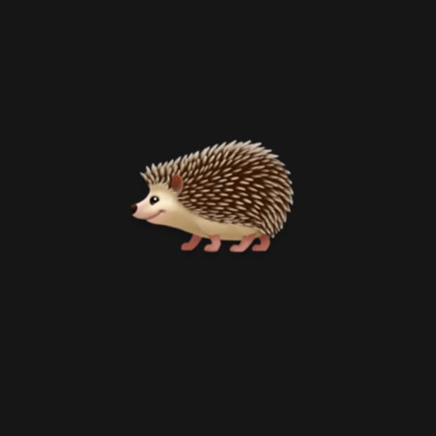 캠버팬츠 결제창