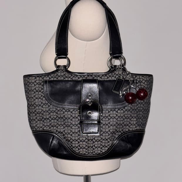 Coach Signature vintage bag 
