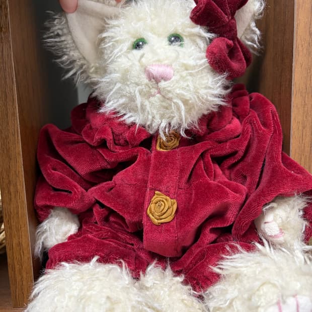 빈티지 보이즈베어 장미 레드 고양이