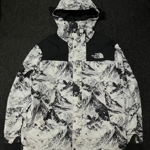 노스페이스 노벨티 에코 고어텍스 마운틴 설산 자켓