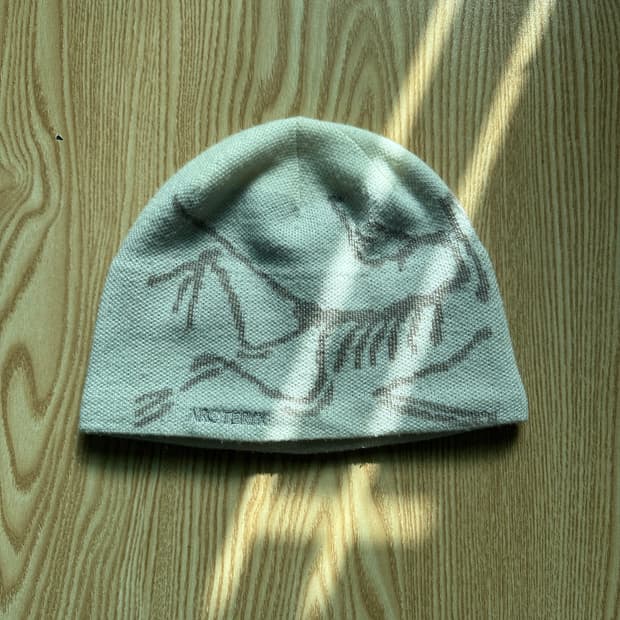 아크테릭스 비니