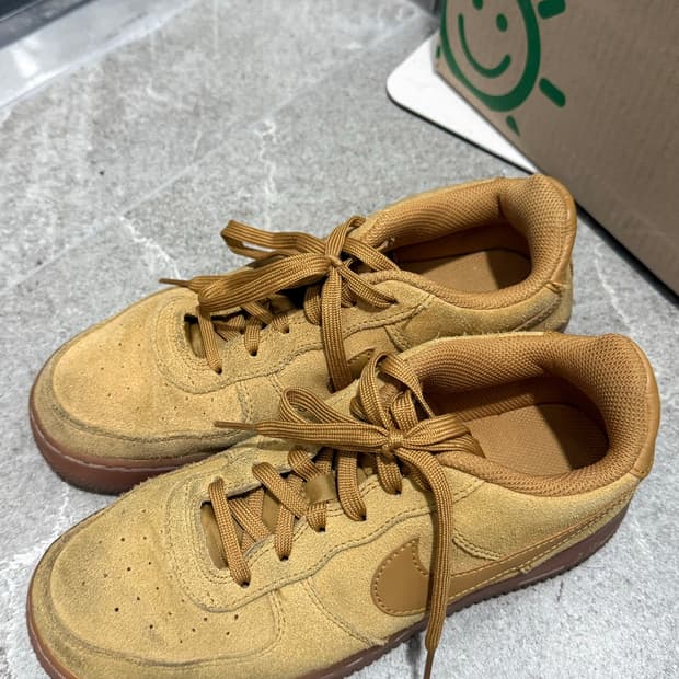 된장포스 Gs 240