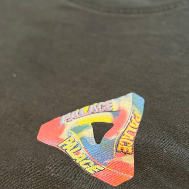 팔라스 I don’t skate on a Sunday 티셔츠