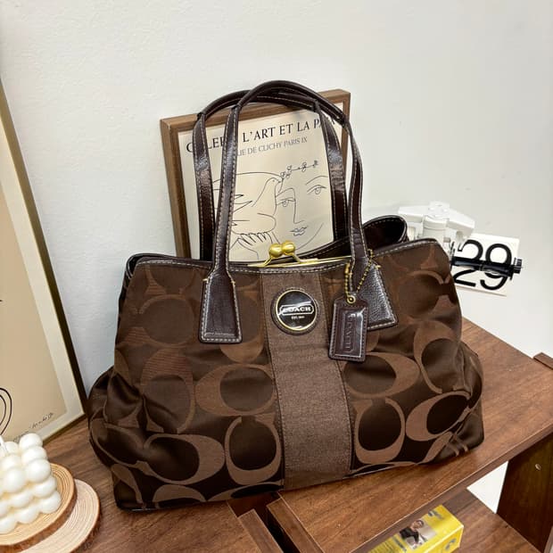 Coach vintage brown bag