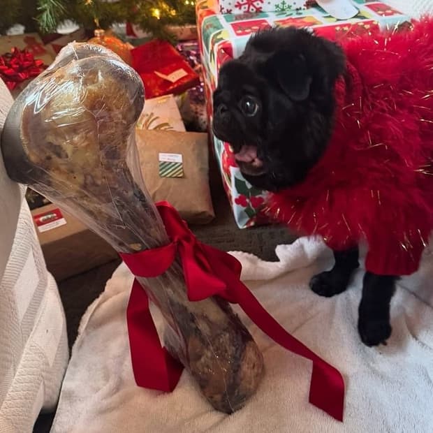 (새상품) adwysd 비니