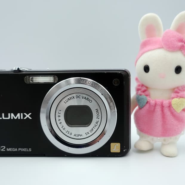 Panasonic Lumix DMC-FS10(파나소닉 루믹스)