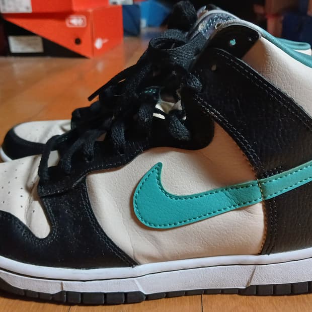 나이키 덩크하이 EMB 265