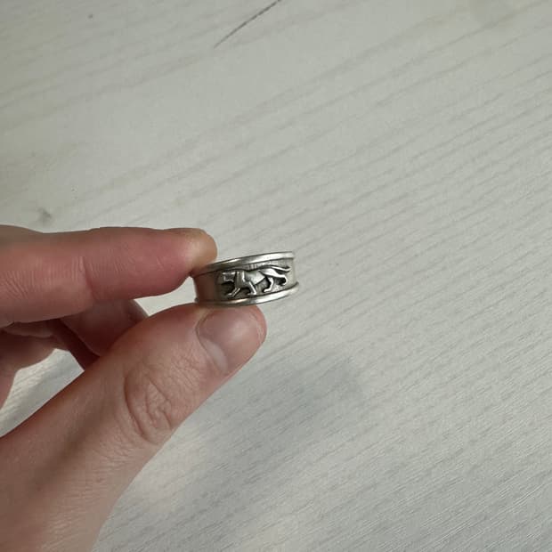 윌리앤더피 팬서 실버링 16.5호