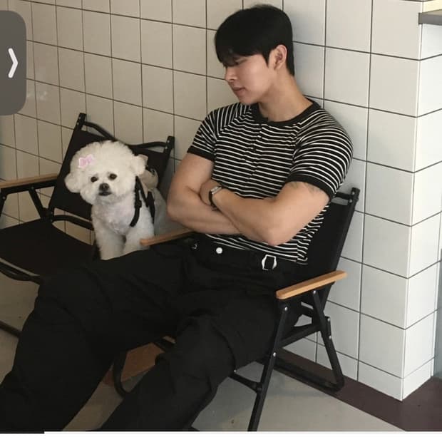 헨리넥 스트라이프 반팔티