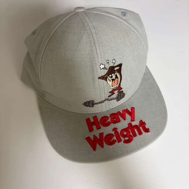 90's usa deadstock warner bros taz cap