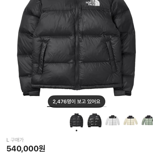 노스페이스 1996 에코 눕시 