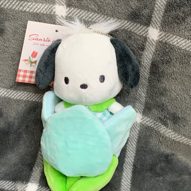 산리오 포차코 스프링 컬러 시리즈 튤립 마스코트