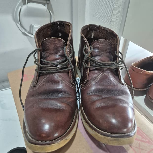 레드윙 8141 처카 8사이즈 