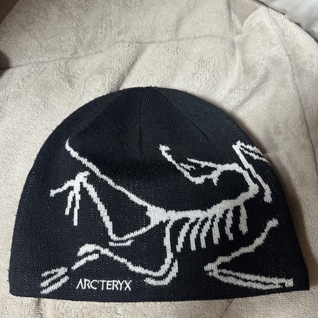 아크테릭스 비니