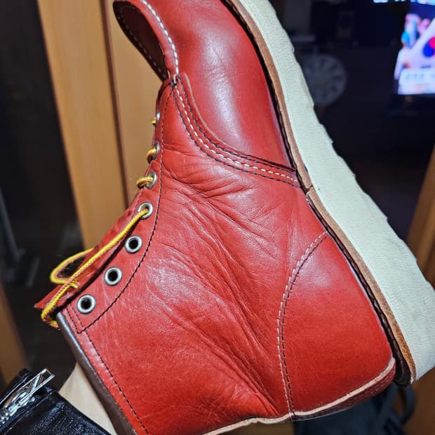 레드윙 목토 8875 (270)