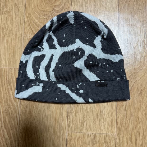 아크테릭스 비니