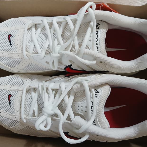 나이키 에어 페가수스 2005 우먼스 295