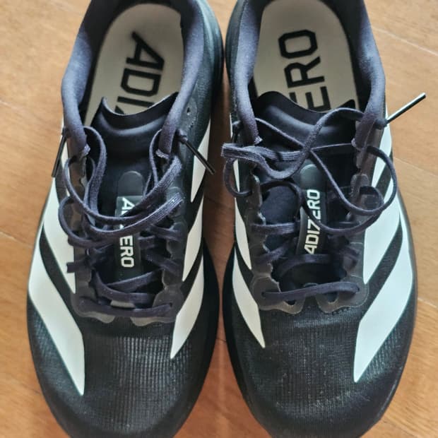 아디다스 아디제로 에보슬 evo sl 255