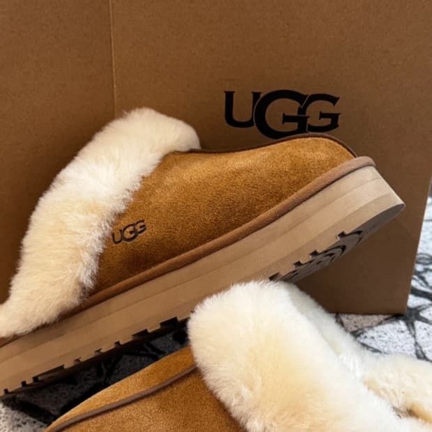 UGG 어그 디스케트 체스트넛 (245,250,255,260)