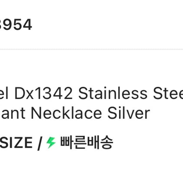 디젤 Dx1342 스테인리스 스틸 팬던트 네클리스 실버