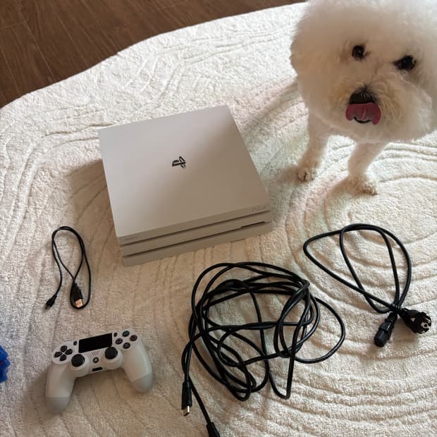 플스4 프로 화이트 1TB