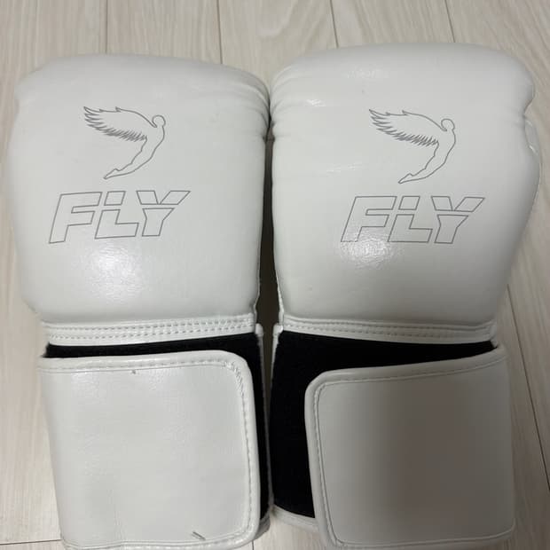 플라이X라인 복싱글러브 14oz 벨크로/ 화이트