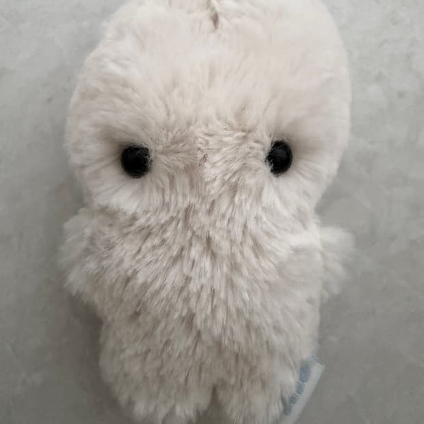 지초이 OG 지토 화이트