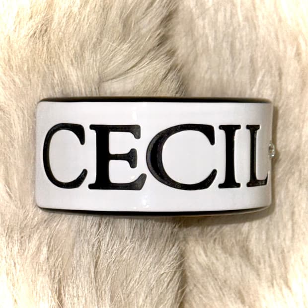 Ceceil McBee 세실 맥비 로고 갸루 뱅글 팔찌