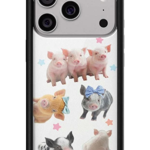 와일드플라워 리틀피기스 17프로