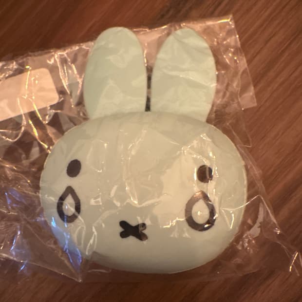 미피 미니 실리콘 파우치 민트