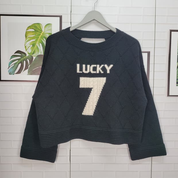 럭키슈에뜨 울 크롭 니트 스웨터 프리사이즈