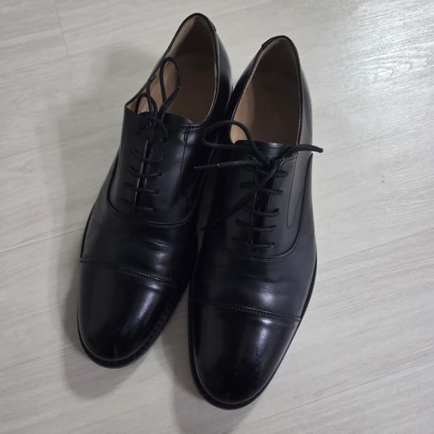 조셉트 옥스포드 1117