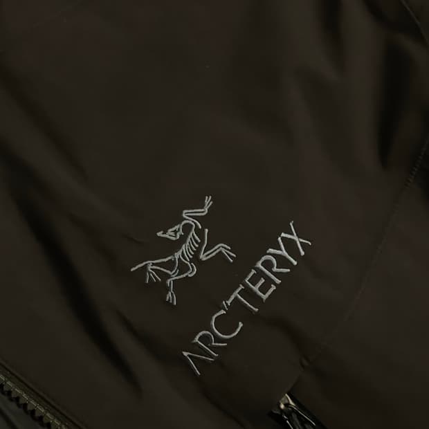 아크테릭스 피션 SV black L