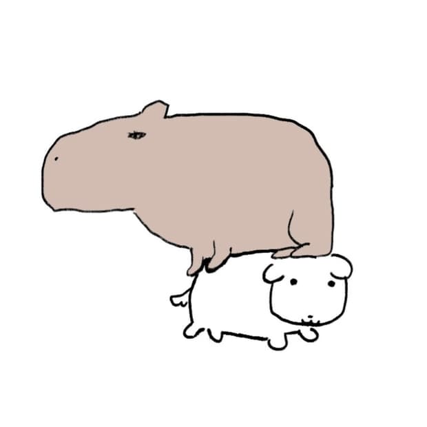 키코 스카프 결제창