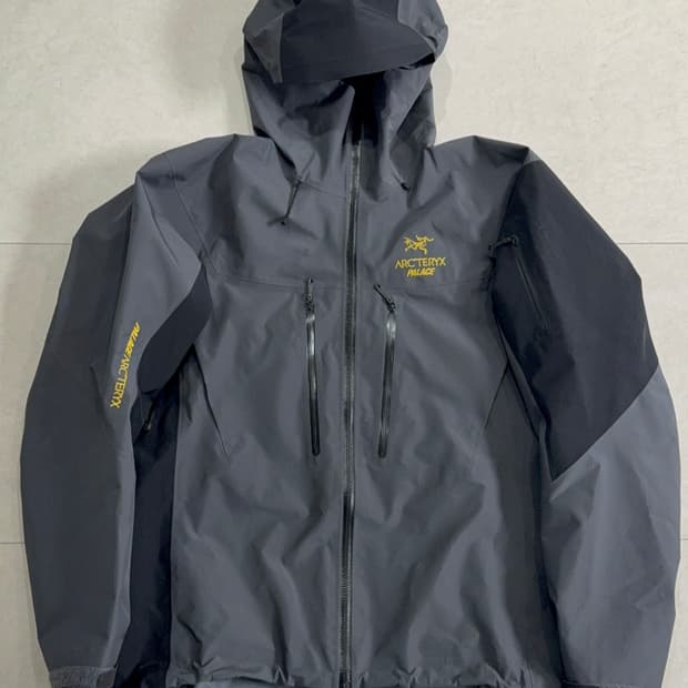 (L) 팔라스x아크테릭스 알파 SV자켓