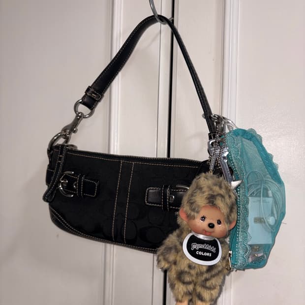 Coach mini bag