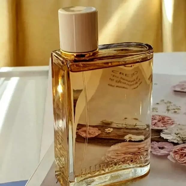 버버리 허 런던 드림 오드퍼퓸 30ml 50ml