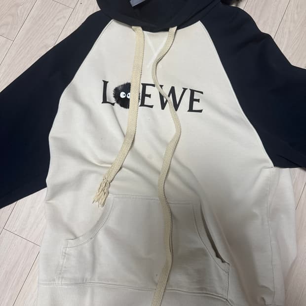 L)로에베 지브리 후드티